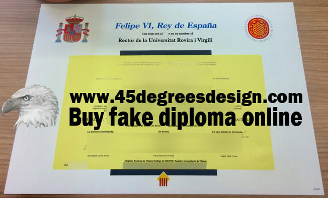 University of Rovira i Virgili Diploma 