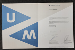 Maastricht University diploma