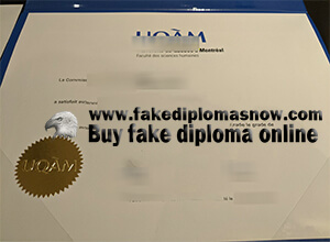 UQAM diploma