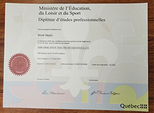 Diplôme d'études professionnelles