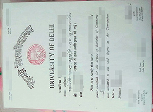 Delhi University diploma