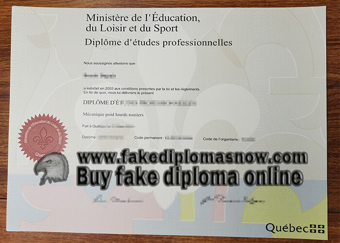 Diplôme d'études professionnelles