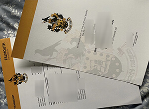 Falmouth University diploma