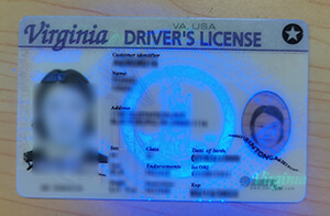 Quickly purchase a Scannable Virginia Driver’s License