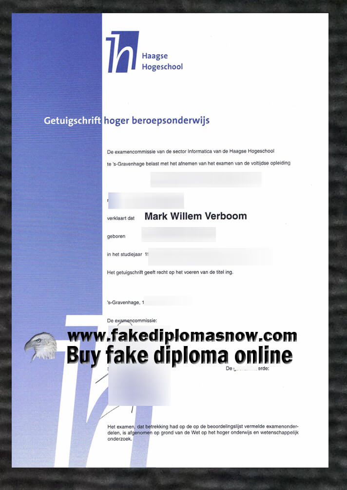  Haagse Hogeschool diploma 