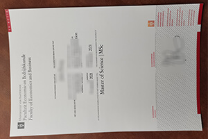 University of Amsterdam diploma