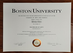 Boston University BA diploma