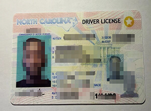 North Carolina Driver's License