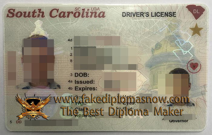 South Carolina driver's licenses 