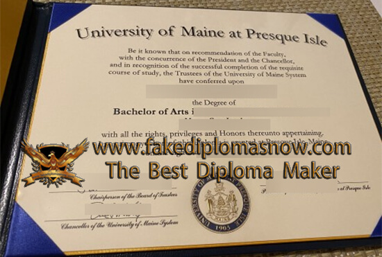 UMPI degree