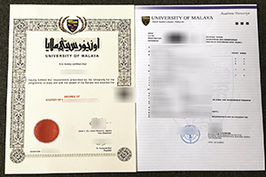 How long to get a fake University of Malaya diploma and transcript?