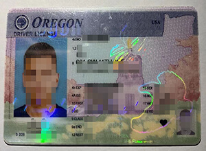Oregon Driver's License