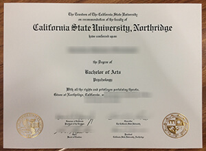 CSUN BA diploma, copy CSUN Degree,