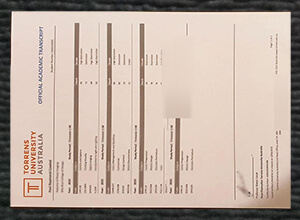 Torrens University Australia transcript