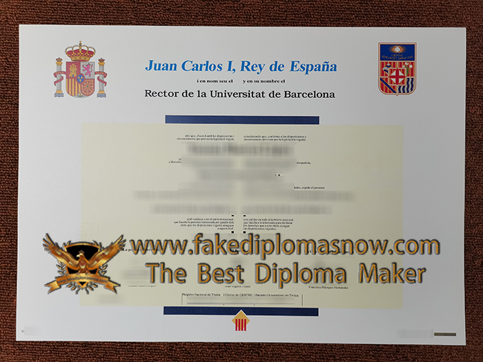 Universitat de Barcelona diploma 