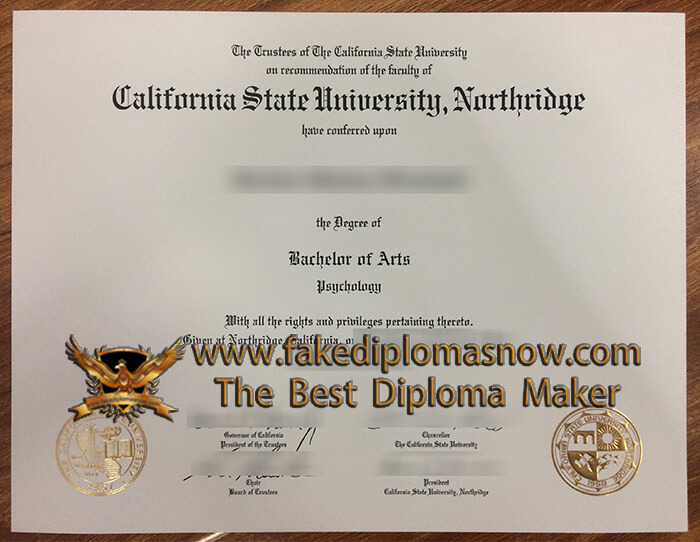 CSUN BA DIPLOMA