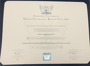The 2 Secrets To Effective Order A Fake Capilano University Diploma