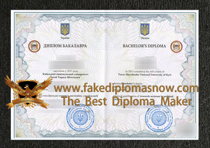 Kyiv University fake diploma