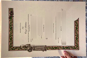 Purchase a fake Università degli Studi di Roma Tor Vergata diploma certificate