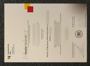 Hochschule Hof degree, HSHO diploma