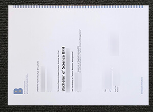 Berner Fachhochschule degree, Berner Fachhochschule diploma