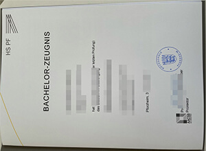 Order a fake Pforzheim University diploma, buy a degree online