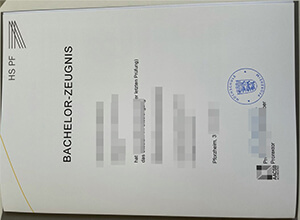 Pforzheim University diploma