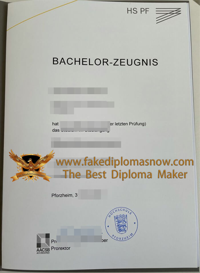 Pforzheim University diploma 
