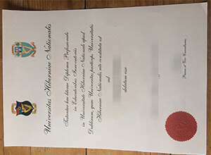 National University of Ireland Dublin diploma