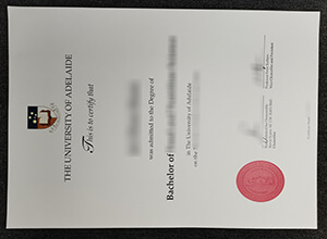 University Of Adelaide Fake Diploma