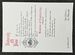 University of Pune diploma