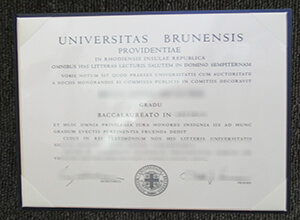 How To Make Your Brown University Fake diploma?