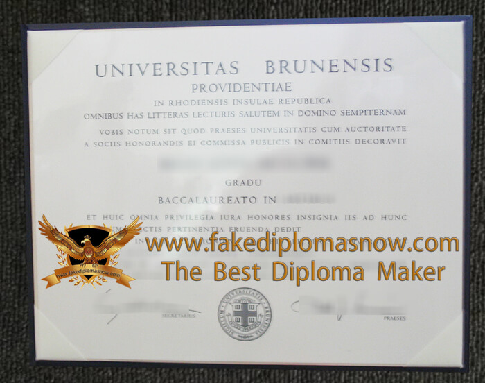 Brown University diploma 