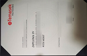 Temasek Polytechnic diploma