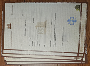 Qatar University certificate