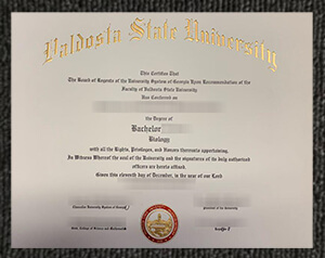Valdosta State University Diploma, VSU degree