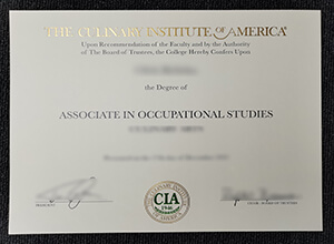 Culinary Institute of America diploma