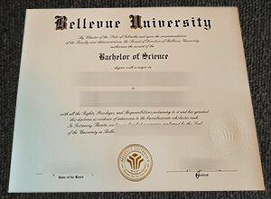 Bellevue University Diploma