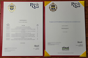 Proqual level 6 NVQ diploma