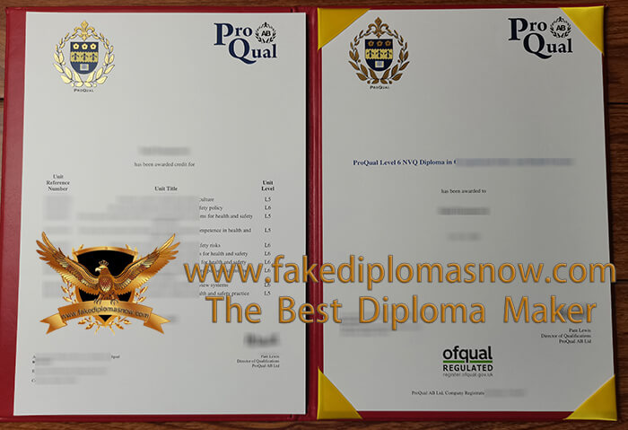  Proqual level 6 NVQ Diploma and transcript 
