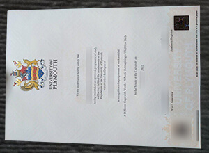 University of Plymouth diploma