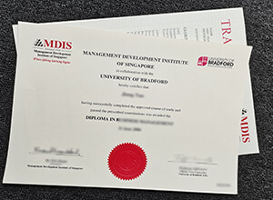 MDIS - University of Bradford diploma, MDIS diploma