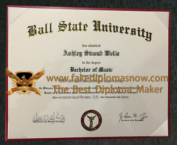  BSU diploma