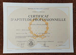 How to buy a fake Académie de Versailles certificate in France？
