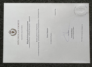 Högskolan i Borås diploma