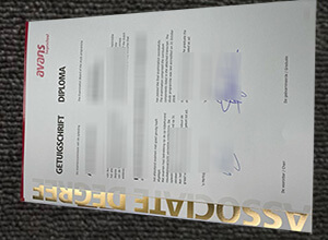 AVANS Hogeschool Diploma