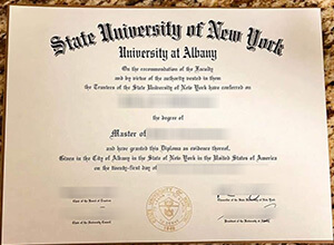 Where can I order a premium SUNY University at Albany diploma?
