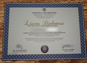 Purchase a fake Anadolu University diploma in the Turkey