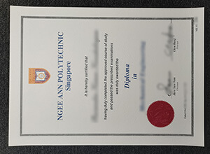 Ngee Ann Polytechnic Diploma