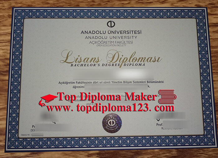 Anadolu University diploma